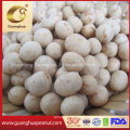 Snack Coated Peanut From Guanghua